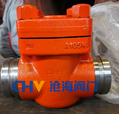 高壓溝槽止回閥